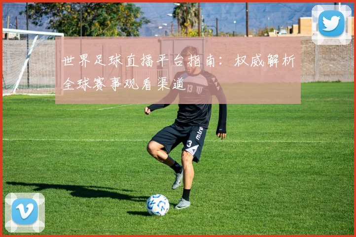 世界足球直播平台指南:权威解析全球赛事观看渠道