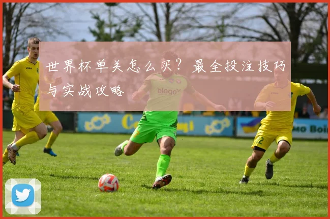 世界杯单关怎么买？最全投注技巧与实战攻略